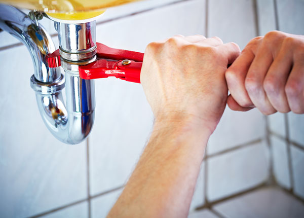 About Forest Plumbers